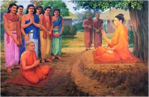 student dp