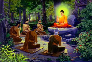 student dp