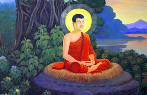 student dp