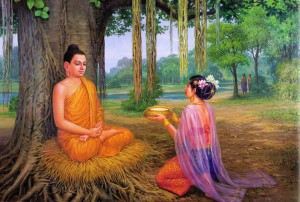 student dp