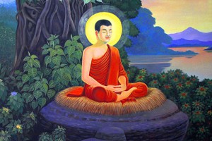 student dp