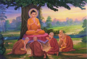 student dp