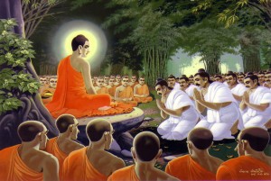 student dp
