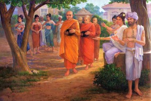 student dp