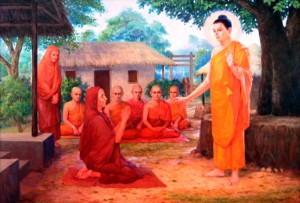 student dp
