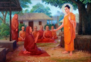 student dp