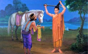 student dp