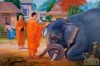 Mốc IX: Mười ba năm cuối cuộc đời Đức Phật